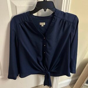 Cremieux dress top